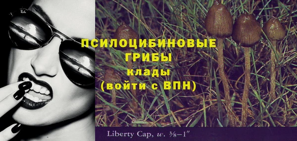 spice Арсеньев
