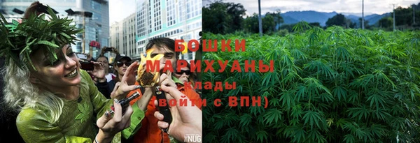 spice Арсеньев